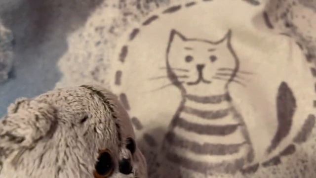 Влог с басиками для всех басиков. Они стали умнее. #лили #игрушки #безопасность #детям #забота смотреть онлайн