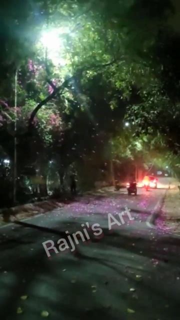 Blossom flowers Night view , Phoolon ki Barish road pr #gulmohar #shorts #nature смотреть онлайн