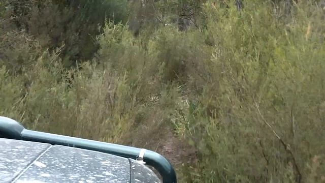 Wollemi NP, old trail, awesome views, patrol 4X4 смотреть онлайн