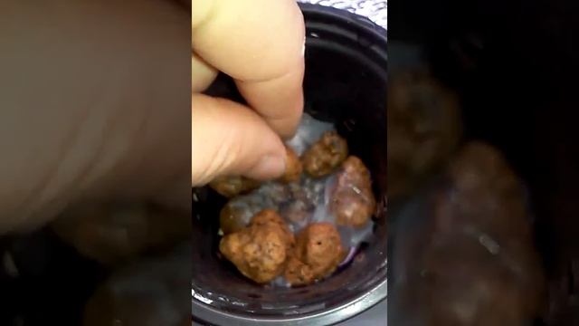 Hydroponics.the beginning of part 2 смотреть онлайн