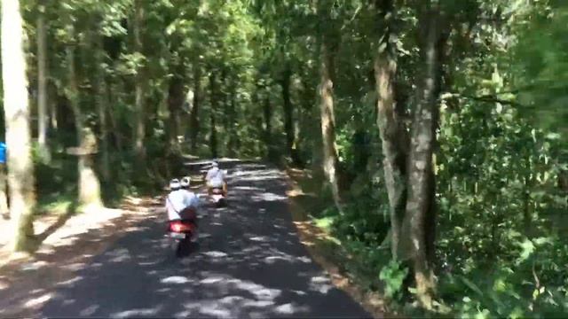 Бали | сельские зарисовки смотреть онлайн