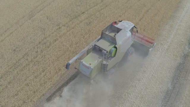 Алматинская область. Комплексная защиты пивоваренного ячменя препаратами компании "Август" смотреть онлайн