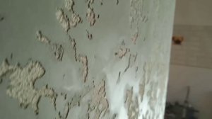 декоративная штукатурка карта мира из гипсовой штукатурки "максимально бюджетная"