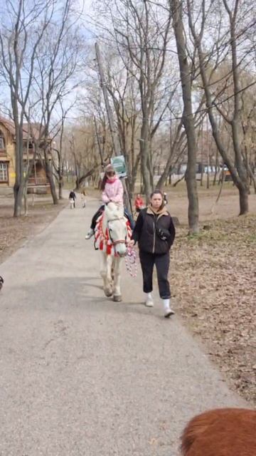 Катаемся на лошади смотреть онлайн