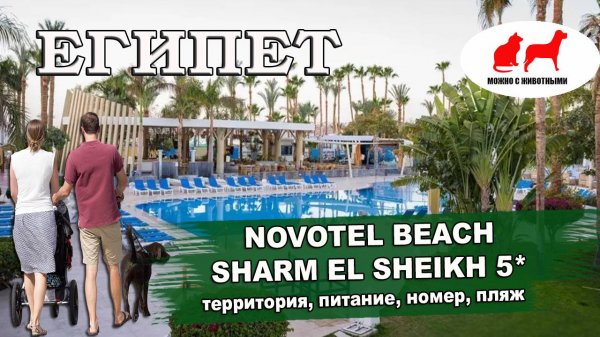 ЕГИПЕТ 2025| NOVOTEL BEACH Sharm El Sheikh 5*. Обзор: территория, номера, пляж, питание