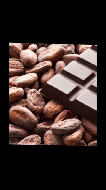 История создания шоколада #shorts #шоколад #историясоздания смотреть онлайн