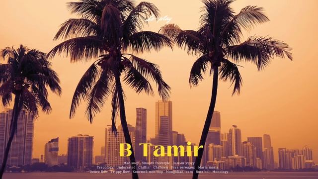 𝒑𝒍𝒂𝒚𝒍𝒊𝒔𝒕 | B Tamir-тай хамт | Miami summer road trippy with droptop смотреть онлайн