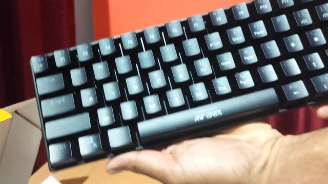 Quick Unboxing My First Ever Mini Gaming Keyboard || ANT ESPORTS MK 1300 MINI UNBOXING смотреть онлайн