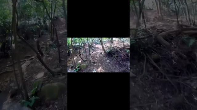 Taiwan Taoyuan Arctic Leopard and Montesha смотреть онлайн