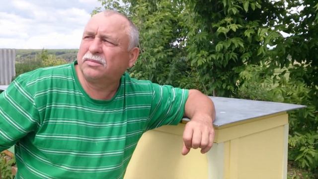 Кадр № 8 Презентация улья смотреть онлайн