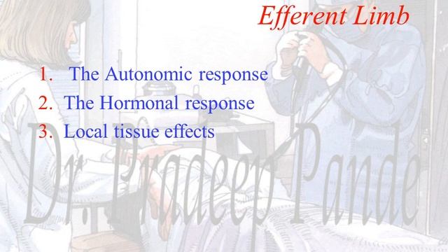 Metabolic response to trauma смотреть онлайн