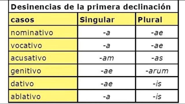 Proyecto de Etimologías смотреть онлайн