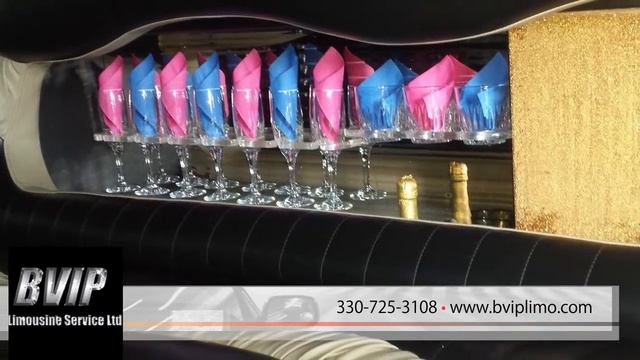 BVIP Limousine Service Ltd | Auto Transportation Services in Medina смотреть онлайн