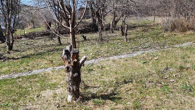 Думки мои...