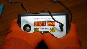 ZFX-W9002 терморегулятор на 12 v.