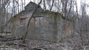 МУРАШКИ ПО КОЖЕ ОТ ТАКОГО ЛЕСА! НАХОДКИ В СОСЕДНЕЙ ОБЛАСТИ!