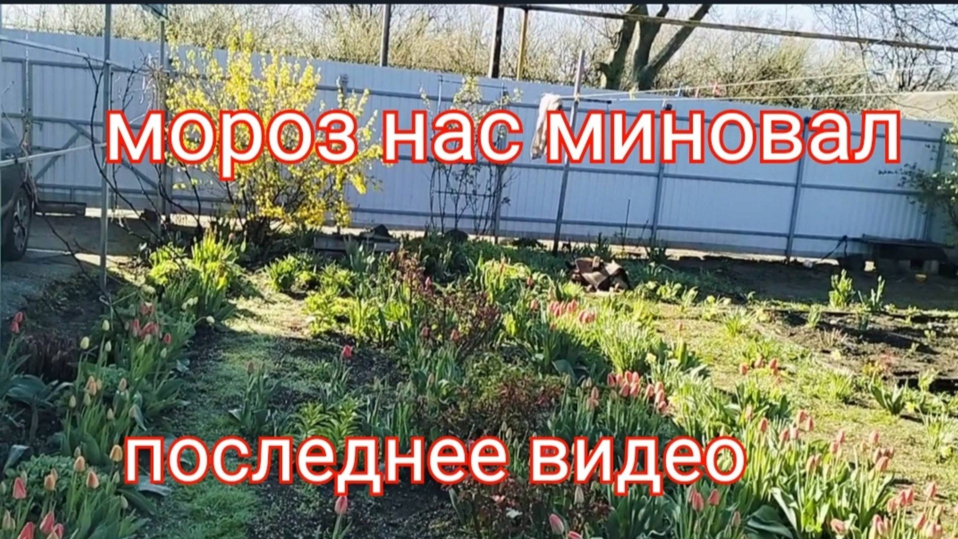 13 апреля/Мороз нас миновал/Погода налаживается смотреть онлайн