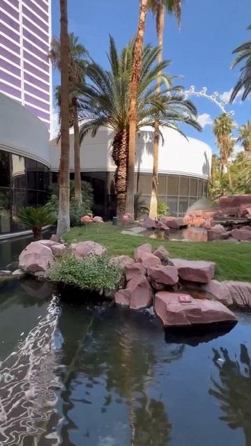 Фламинго в Лас-Вегасе #travel #тревел #америка#сша #usa #путешествия #ласвегас#lasvegas#shorts#shor смотреть онлайн
