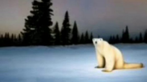 медведь из 20026 года