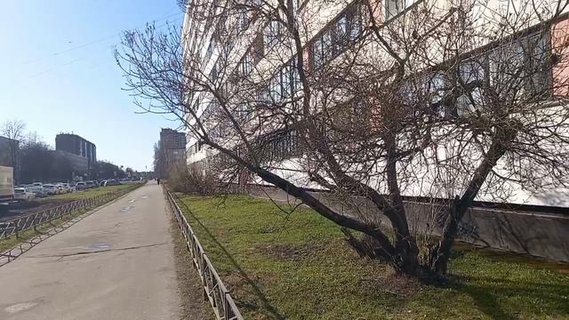 13 апреля 2025. С Вербным Воскресеньем! смотреть онлайн