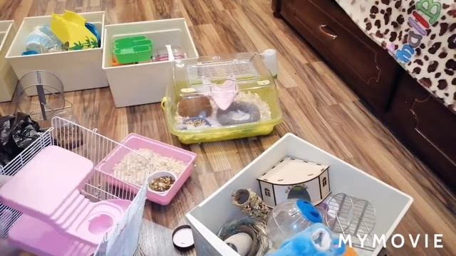 УБОРКА || НОВЫЙ ДОМИК И МИСКИ