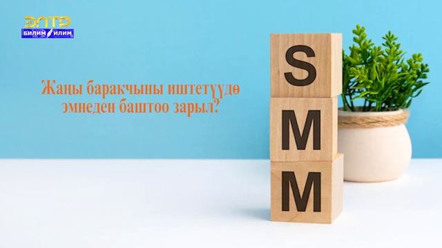 СММ - КЕРЕКТҮҮ АДИС! Кесибим-келечегим смотреть онлайн