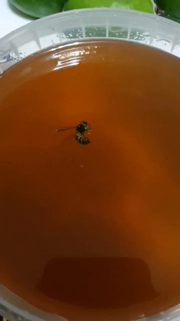 ФЕЙХОА ДЛЯ ЩИТОВИДКИ #йод #щитовидка #щитовиднаяжелеза #сердце #здоровье #польза #полезно смотреть онлайн