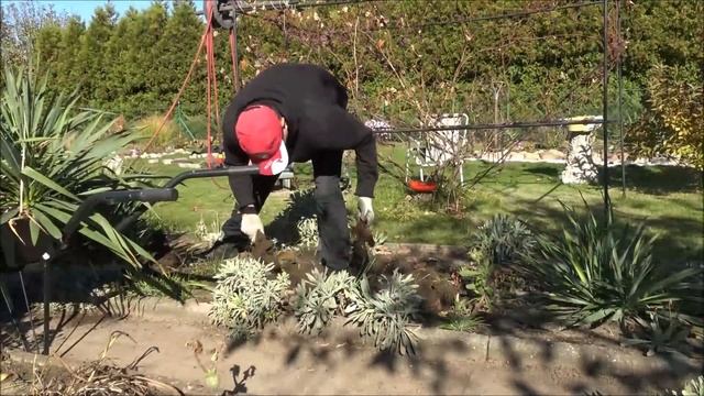 💚 GARDEN DESIGN 117 - Nowy skalniak - Wrzosy. New Rockery Garden Edgings, heathers flowerbed смотреть онлайн