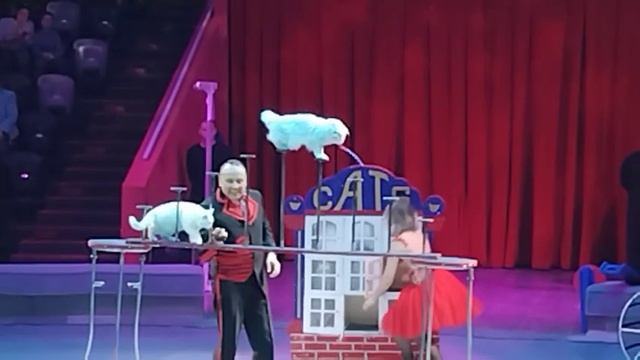 казанский цирк