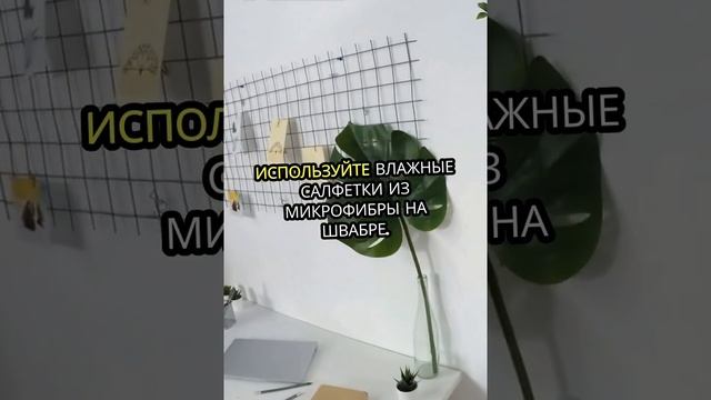 Чистота без пыли_ удивительные методы!