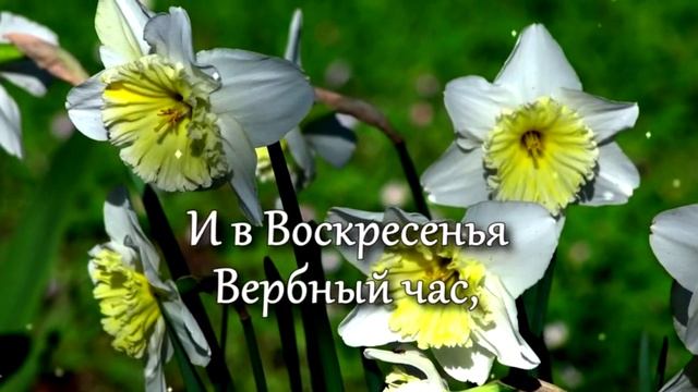 С Вербным Воскресеньем! смотреть онлайн