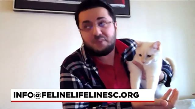 Four-Legged Friends: Atlas and Winter смотреть онлайн