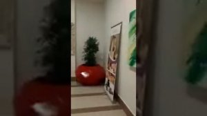 Отель DREAM FAMILY CLUB 4* KUMKOY SIDE TURKEY: обзор -2 этажа отеля