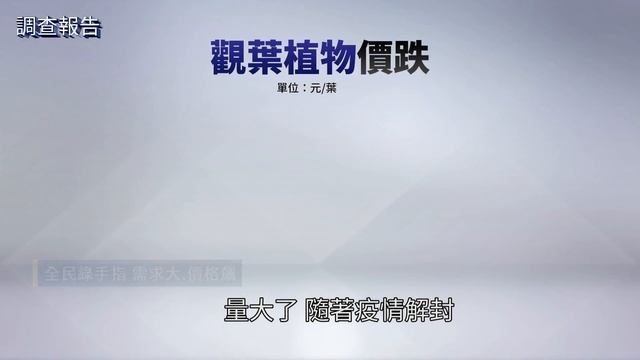 有錢也買不到！　稀有「觀葉植物」比二手車貴｜鏡新聞調查報告 #鏡新聞 смотреть онлайн