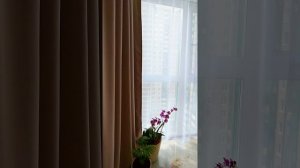 Евродвушка 4К