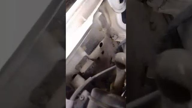 1000233644.mp4 смотреть онлайн