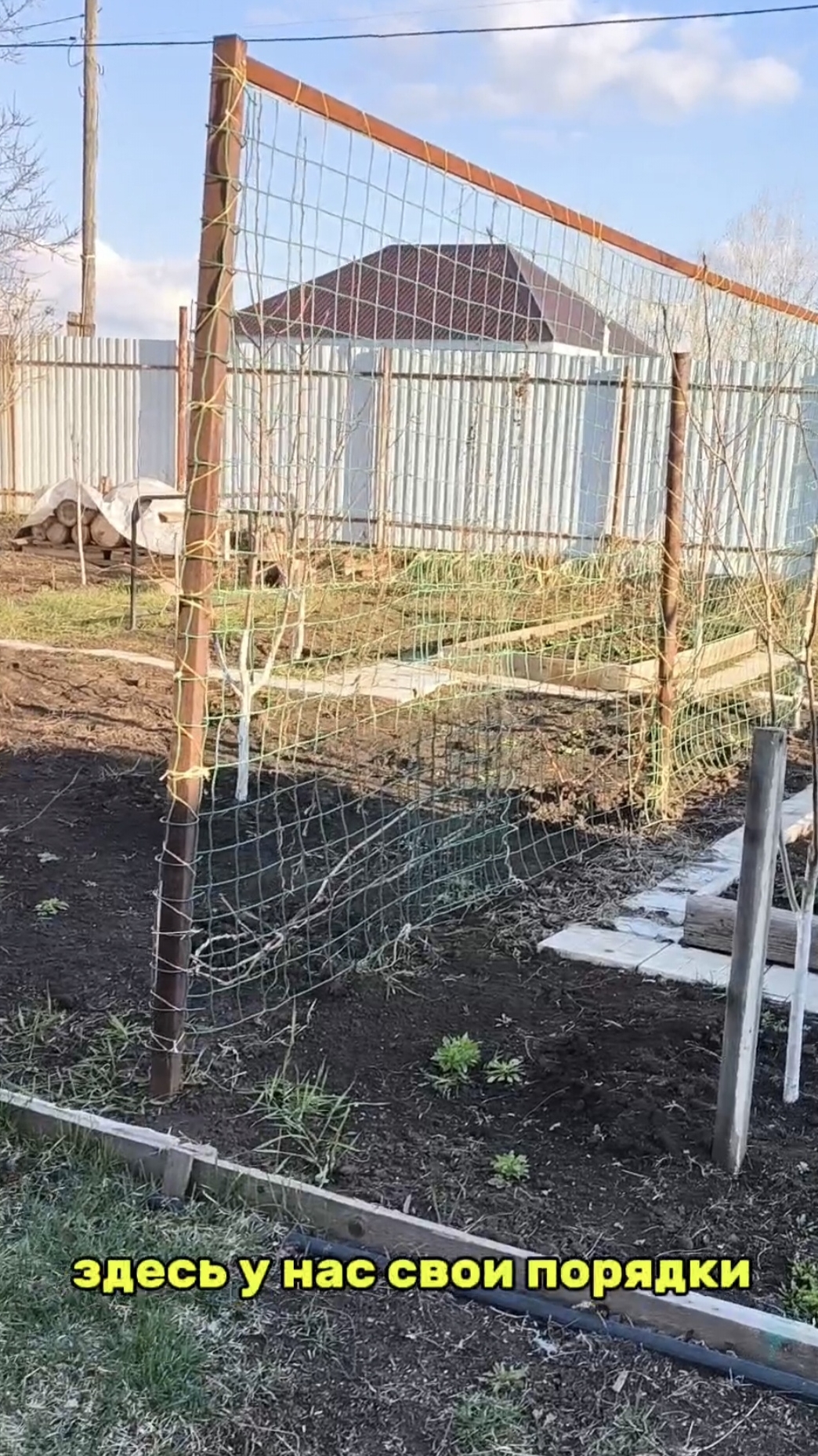 Здесь у нас свои порядки смотреть онлайн