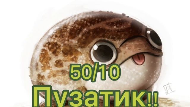 Оцениваю лягушек! Все лягушки были довольно красивые! смотреть онлайн