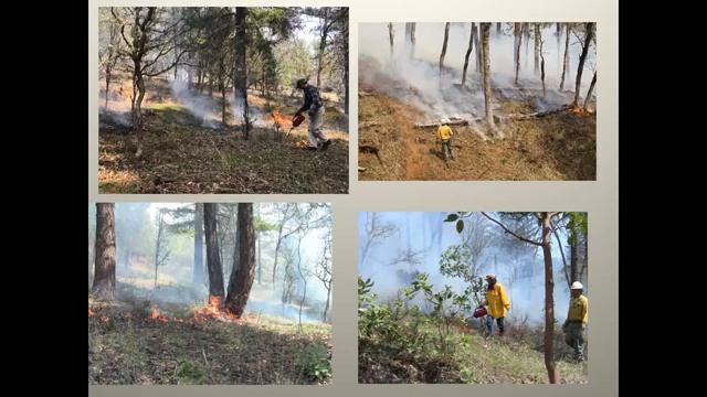 Prescribed Burning on Private Land 2022.01.25 смотреть онлайн
