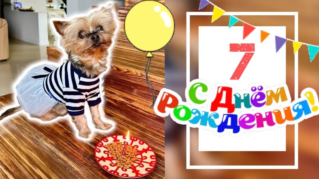 ДЕНЬ РОЖДЕНИЯ СОНИ!СНЕГ В АПРЕЛЕ