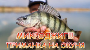 МИКРОДЖИГ! ЛУЧШАЯ пассивная ПРИМАНКА на окуня 👍 ЛОВИТ всегда 💪💪💪
