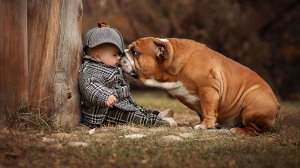 Животные и детишки - Самое милое видео - Милаши