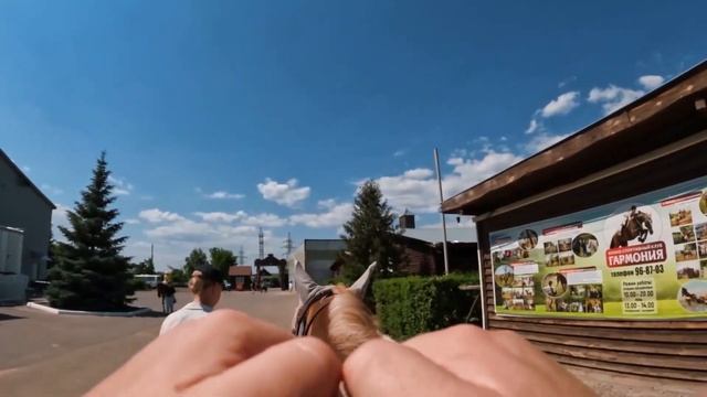 Посещение конюшни. смотреть онлайн