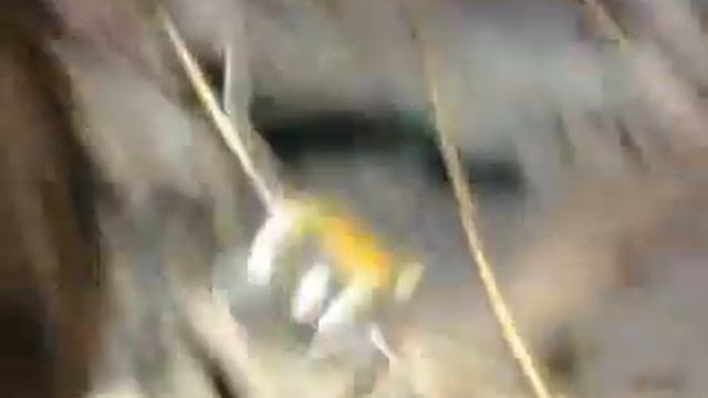 video 2012 10 06 16 57 23 смотреть онлайн