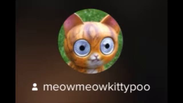 tina turner's private dancer by meow meow kittypoo смотреть онлайн