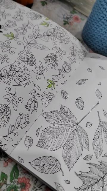 Раскраска антистресс #shorts смотреть онлайн