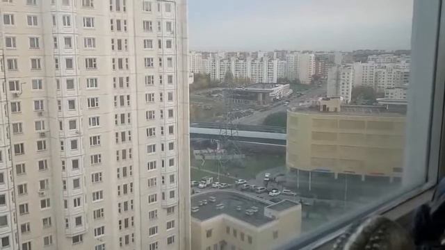 С ЛЮДЬМИ НИЖЕ СЕБЯ НЕ ОБЩАЙСЯ!!!....ИНГА ХОСРОЕВА. смотреть онлайн