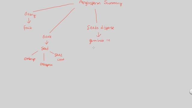 PD II - Angiosperms Summary | BIALIGY.com смотреть онлайн