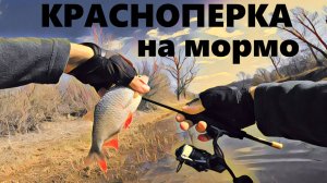 Ловля красноперки на МОРМО