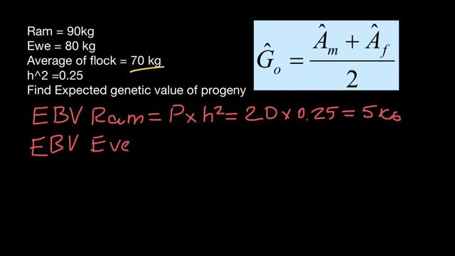Estimated Breeding Value and Expected Genetic Value explained смотреть онлайн